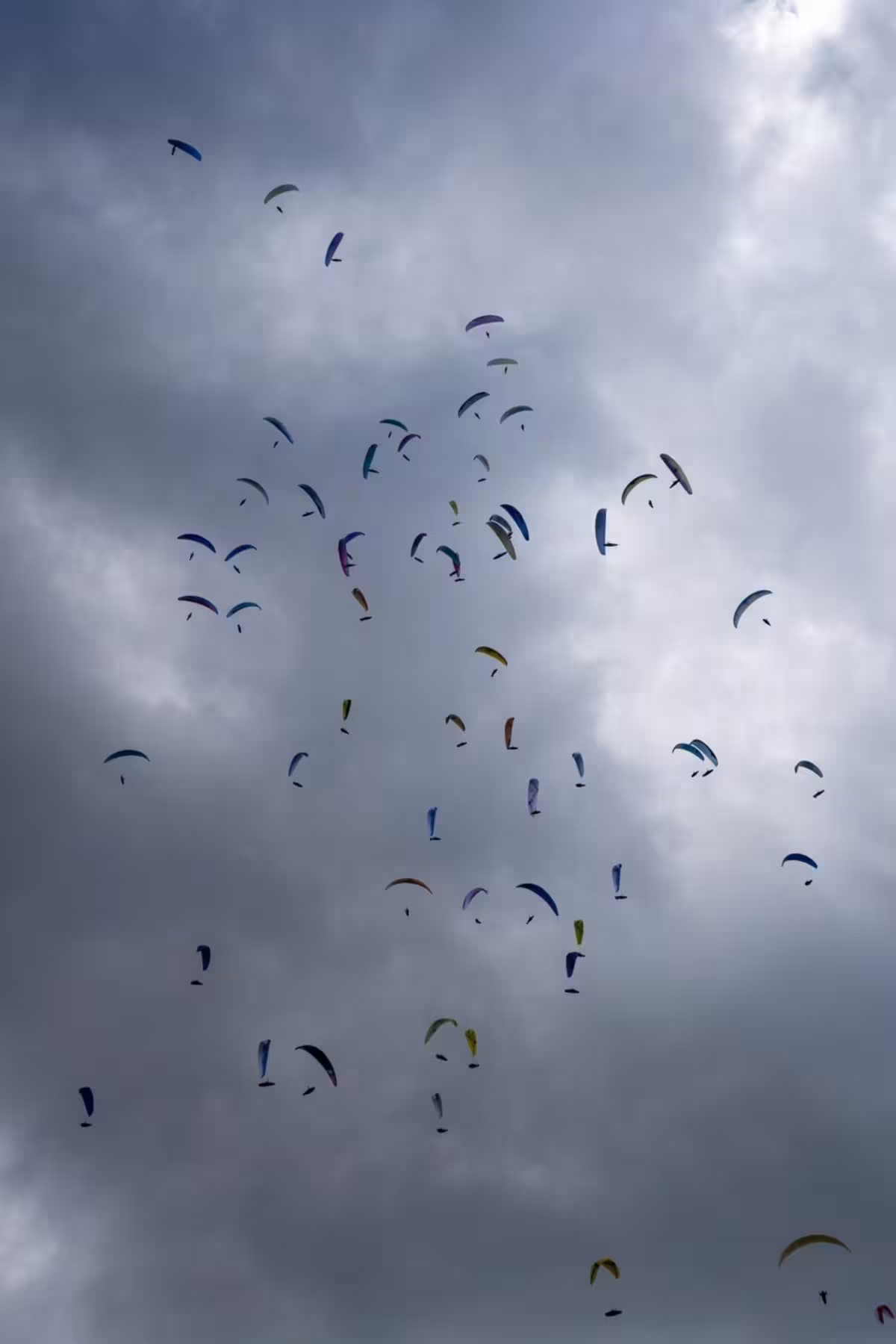 French Open 10 06 2024 Stephane Boulenger 15 SD