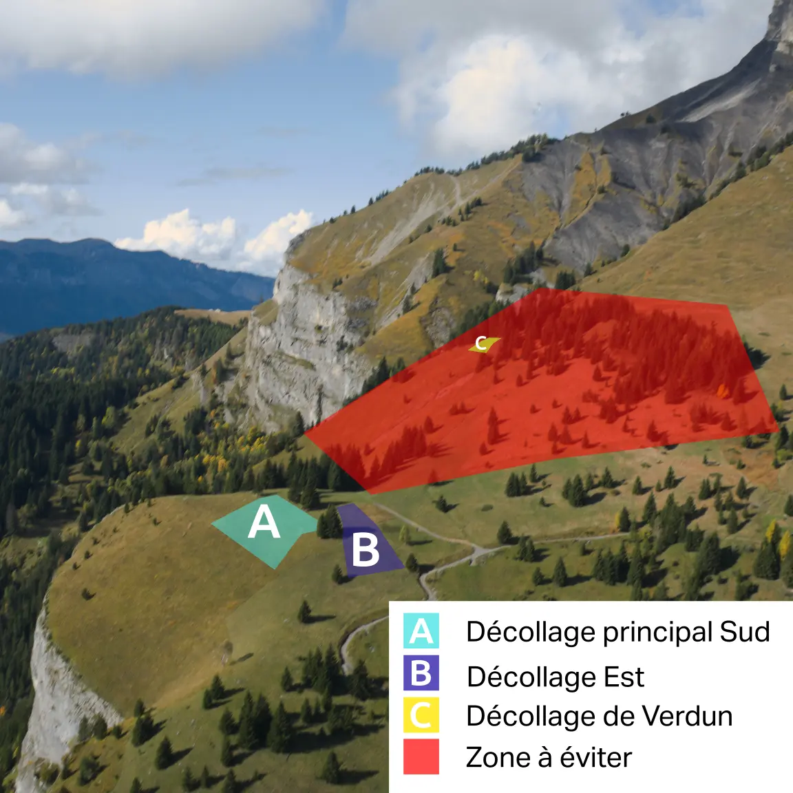 Info varan tetras photo petit